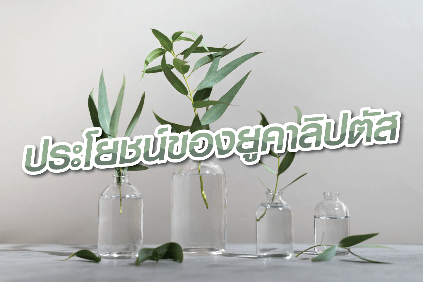 ประโยชน์ของนำมั้นยูคาลิปตัสมีมากมายเช่นน้ำมันยูคาลิปตัสมีคุณสมบัติเป็นยาขับเสมหะ ช่วยบรรเทาอาการไอและคัดจมูก เมื่อใช้สูดดมในรูปแบบของไอน้ำ